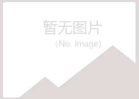 江门江海女孩媒体有限公司